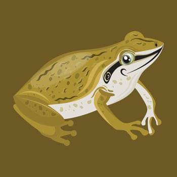 animal cartoon graphic style Modern design vector