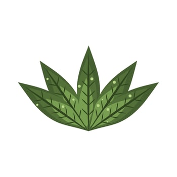 leaves nature vegetation vector