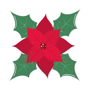 christmas poinsettia flower vector