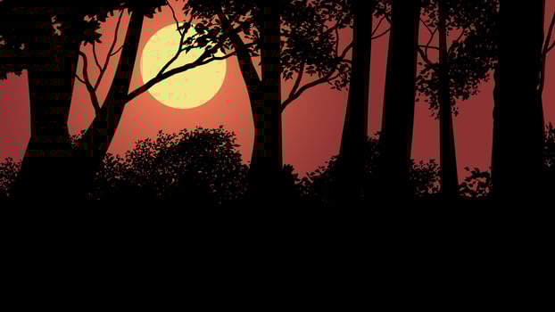 Tree silhouette on forest sunset vector