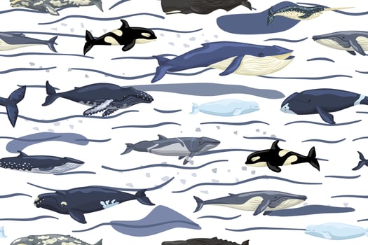 Seamless pattern whales on white background with waves and smudge. Template of cartoon characters of ocean in Scandinavian style for children. vector