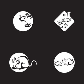 Rat icon and symbol vector illustration