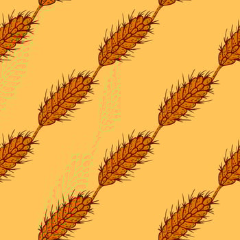 Wheat seamless pattern. Cereal crop sketch. vector