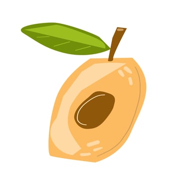 Hand drawn apricot vector