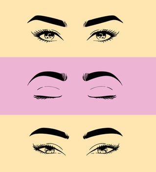 eyelash set illustration vector