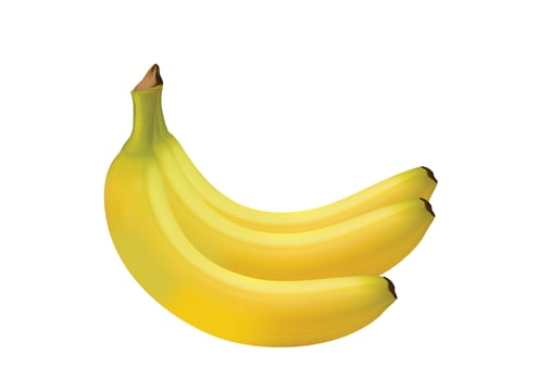 realistic ripe bananas Fresh yellow fruit for healthy eating Sweet fruits are full of vitamins. isolated illustration vector