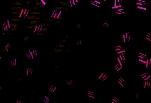 Dark pink vector texture with colorful lines.