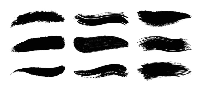 Paint Brush Strokes Set vector