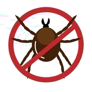 Sign Beware of ticks. Isolated on white vector illustration.