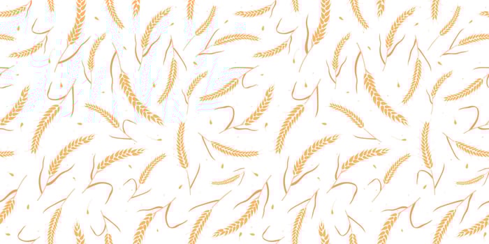 Seamless pattern with whole grain seeds organic, natural ears isolated on white background. vector