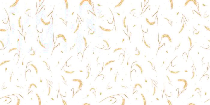 Seamless pattern with whole grain seeds organic, natural ears isolated on white background. vector