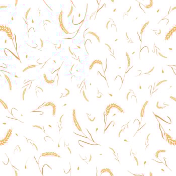 Seamless pattern with whole grain seeds organic, natural ears isolated on white background. vector