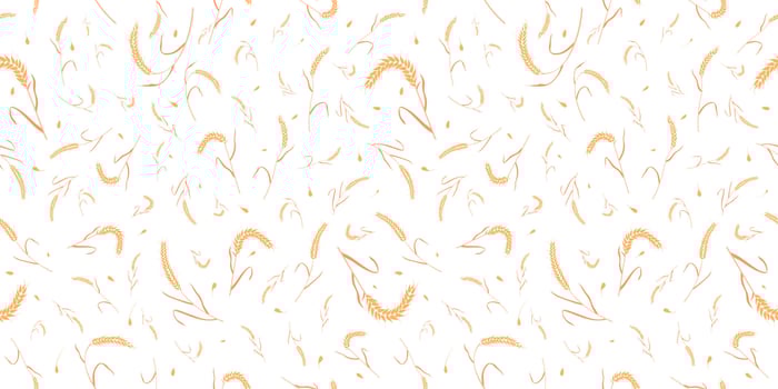 Seamless pattern with whole grain seeds organic, natural ears isolated on white background. vector