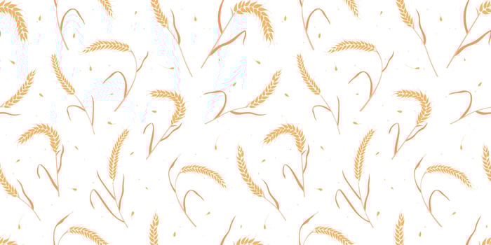 Seamless pattern with whole grain seeds organic, natural ears isolated on white background. vector