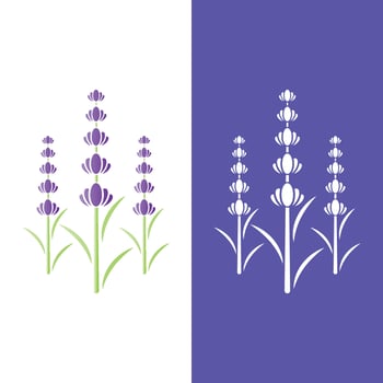 Fresh Lavender flower logo vector