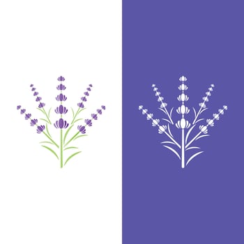 Fresh Lavender flower logo vector
