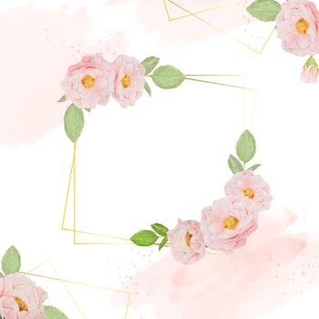watercolor pink roses with golden frame square banner background vector