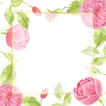 watercolor pink english rose with golden luxury square frame vector