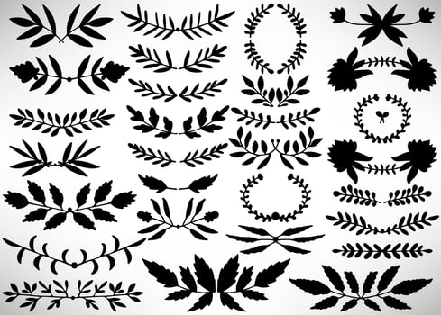 Big Floral Set of black hand drawn dividers, laurel wreaths, leaves, flowers, branches isolated on white. Collection of flourish elements for design. vector