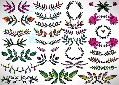 Colorful Big Floral Set of hand drawn dividers, laurel wreaths, leaves, flowers, branches isolated on white. Collection of flourish elements for design. vector