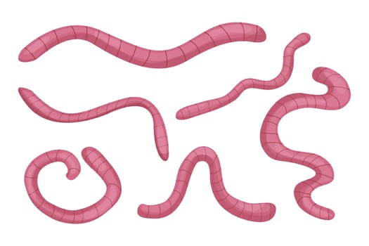 Earthworms collection in cartoon style isolated on white background. Nature, wildlife, fishing, compost concept stock vector illustration. Vector illustration