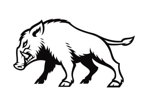 logotipo de vetor de javali