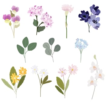 flat style beautiful flower in pink and purple tone collection isolated on white background vector