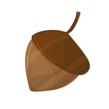 Acorn, oak nut, seed. Made in cartoon style. Vector illustration