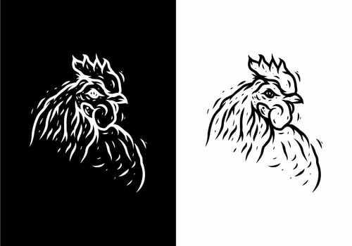 Black and white illustration drawing of rooster vector