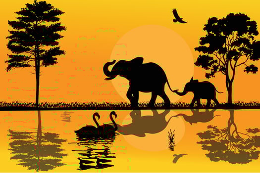 cute elephant animal silhouette illustration vector