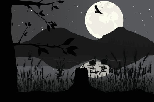 cute animal silhouette illustration vector