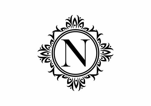 Black initial N letter in classic frame vector
