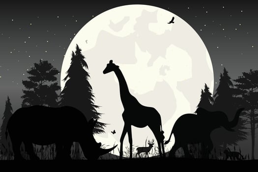cute animal and moon silhouette vector