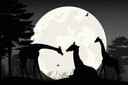 cute giraffe and moon silhouette vector