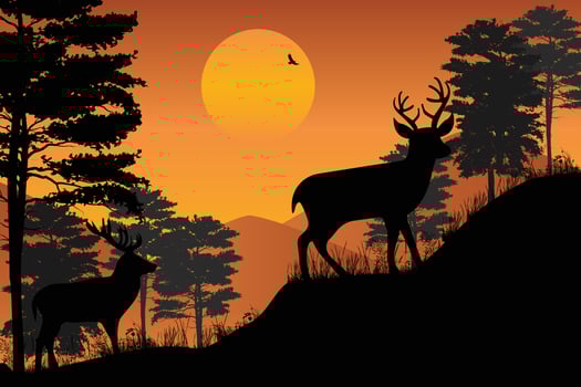 cute deer and moon silhouette vector