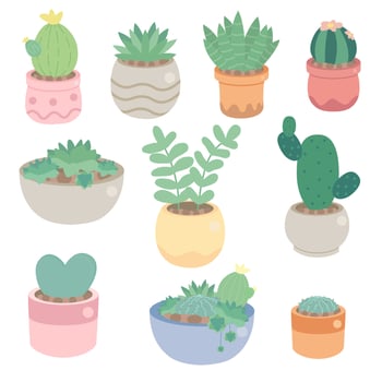 cute minimal cactus and succulent in pot collection vector