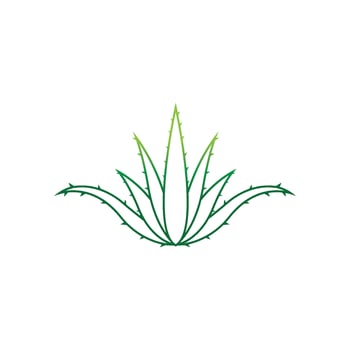 Aloe vera logo vector ilustration template