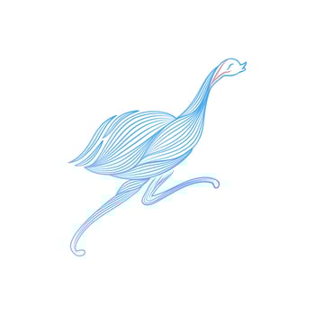 Emu bird light and gentle vector for logo design.