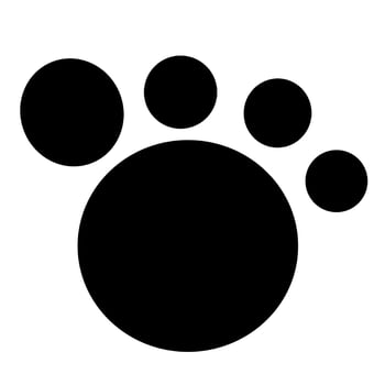 Pet animal foot print. vector
