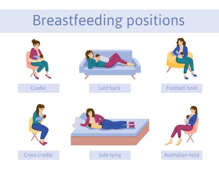Lactation Positions Flat Infographics vector