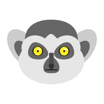 vector ringtail cute animal