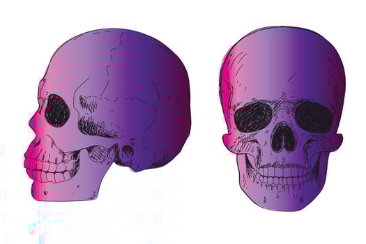 Human skeleton hand drawing. Human skull in profile vector
