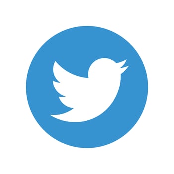 Twitter logo on transparent background vector