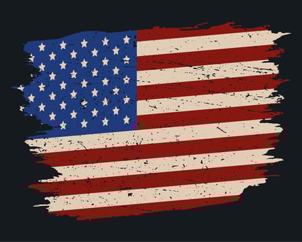 usa flag paint vector
