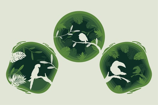 three green paper cut icons vector