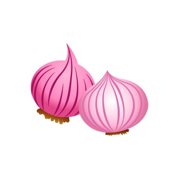 clip art of onion with cartoon design vector
