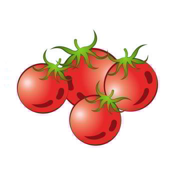 clip art of tomatoes with cartoon design vector