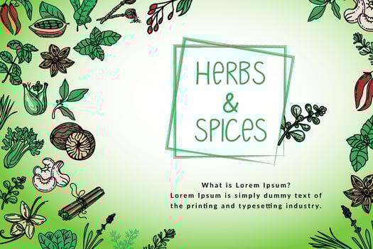 Herb and spice package design template, drawn element in style. Herbs mint, thyme, spinach, rosemary, basil, etc. Logo in a trendy linear style. vector
