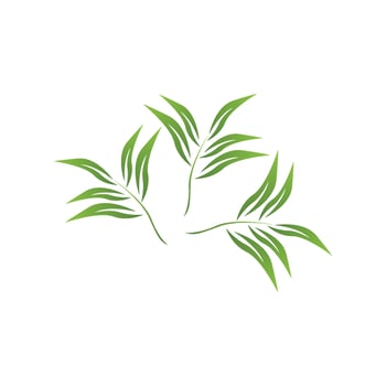 Nature leaf icon and symbol template vector