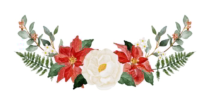 watercolor christmas poinsettia flower bouquet elements collection vector